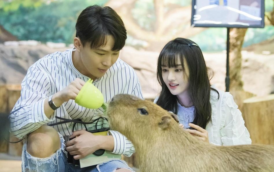 Trinh Sang bo roi con anh 3