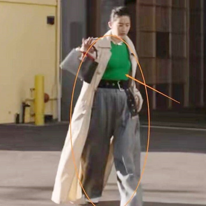 Luu Diec Phi phat tuong anh 1