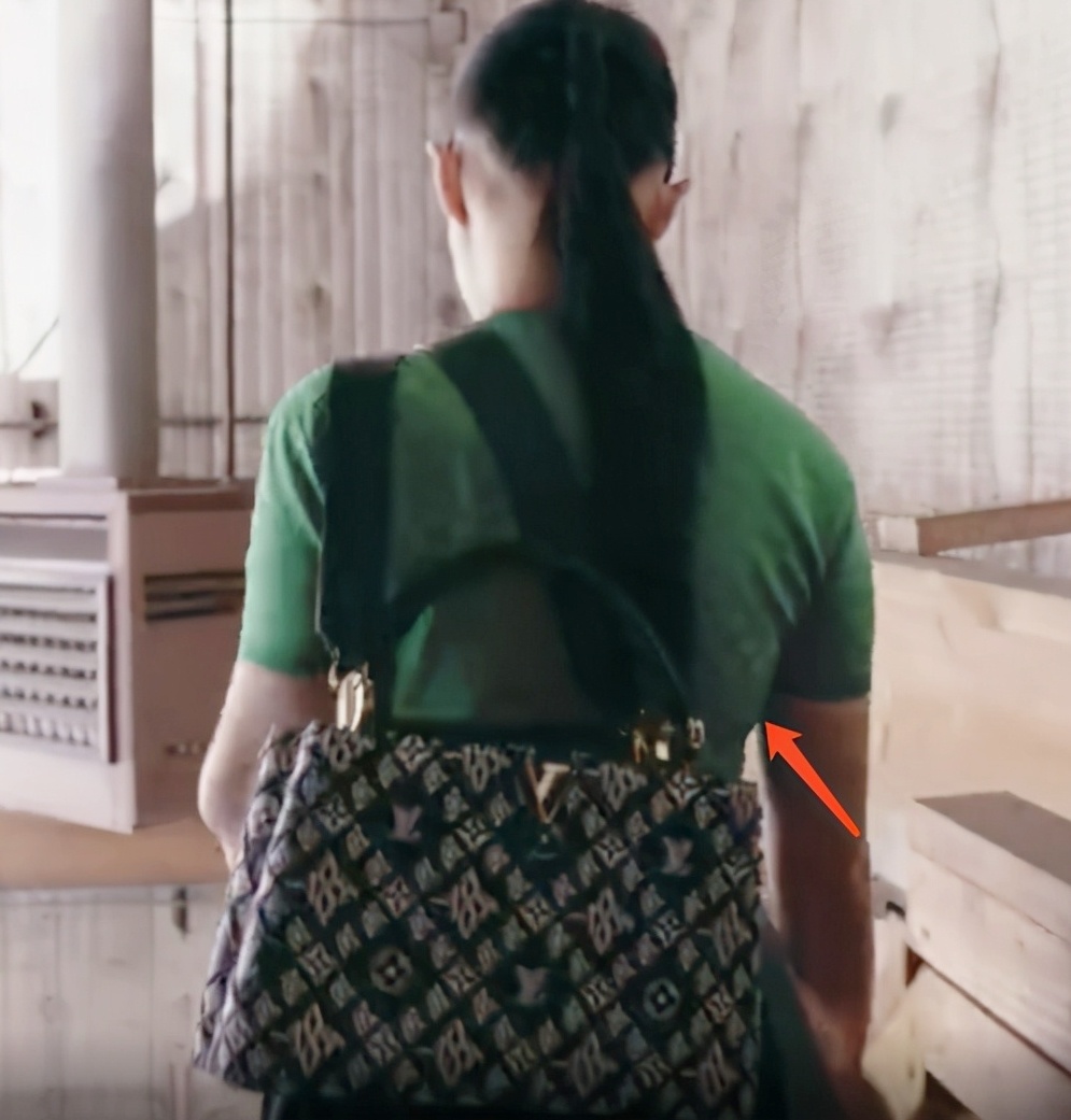 Luu Diec Phi phat tuong anh 2