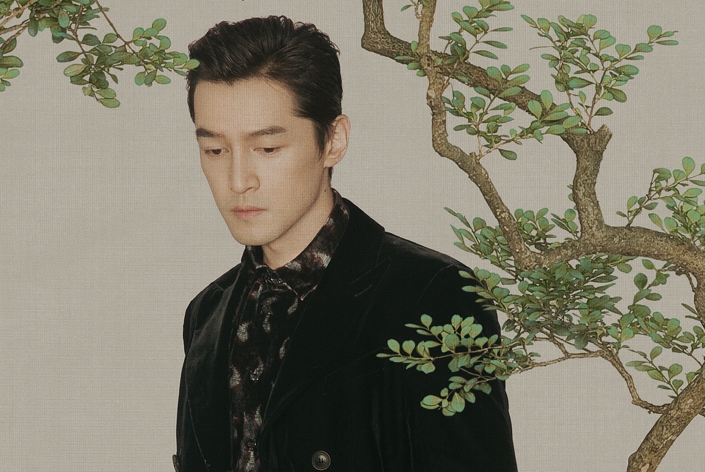 Ho Ca Luu Diec Phi anh 8