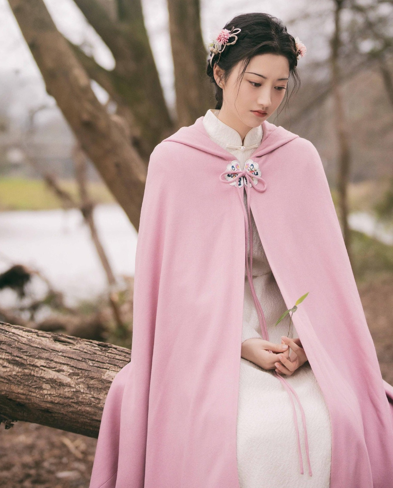 Cảnh Điềm Tư Đằng ảnh 5 Canh Diem Tu Dang anh 5