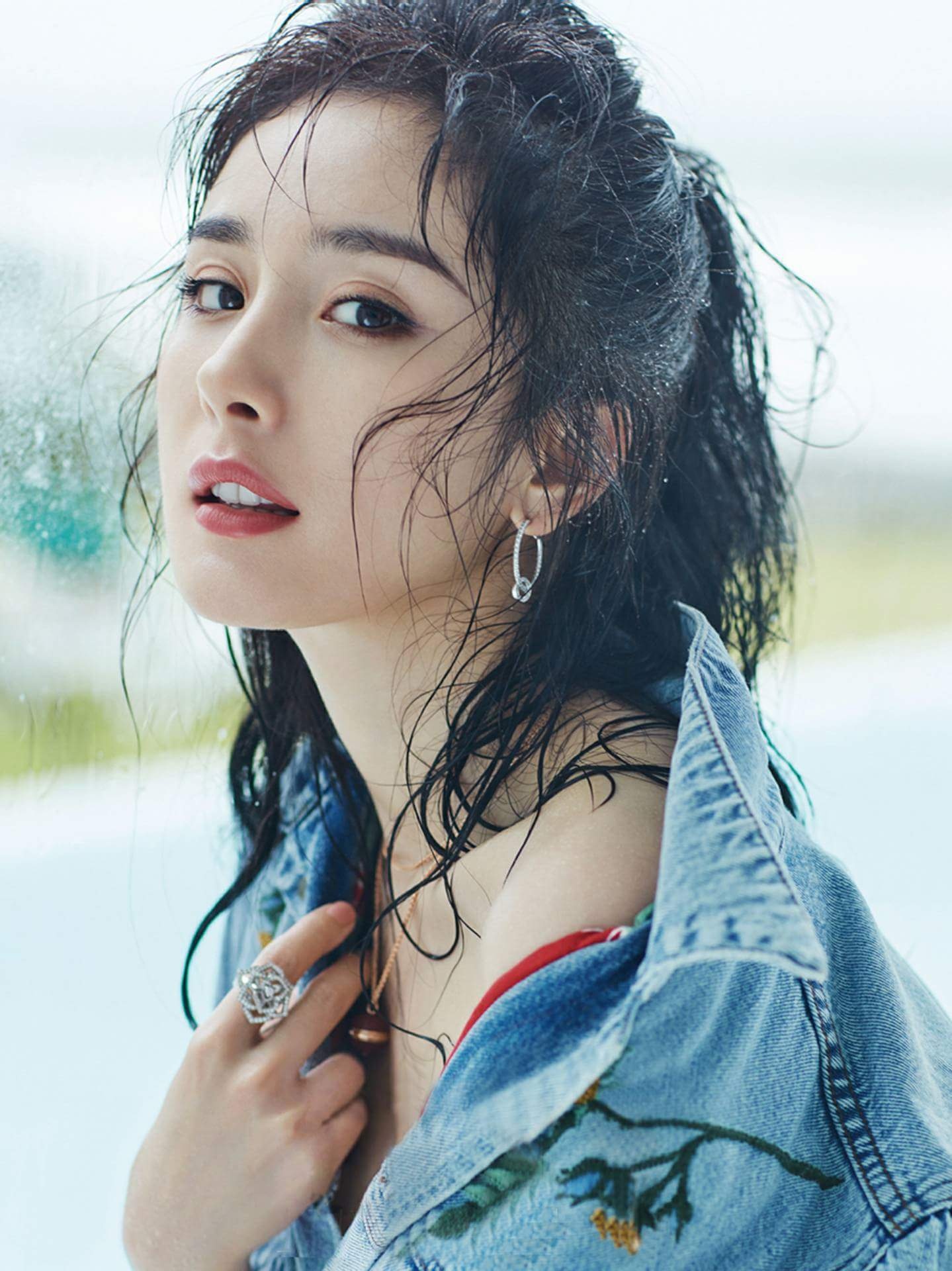 Duong Mich dat gia anh 3