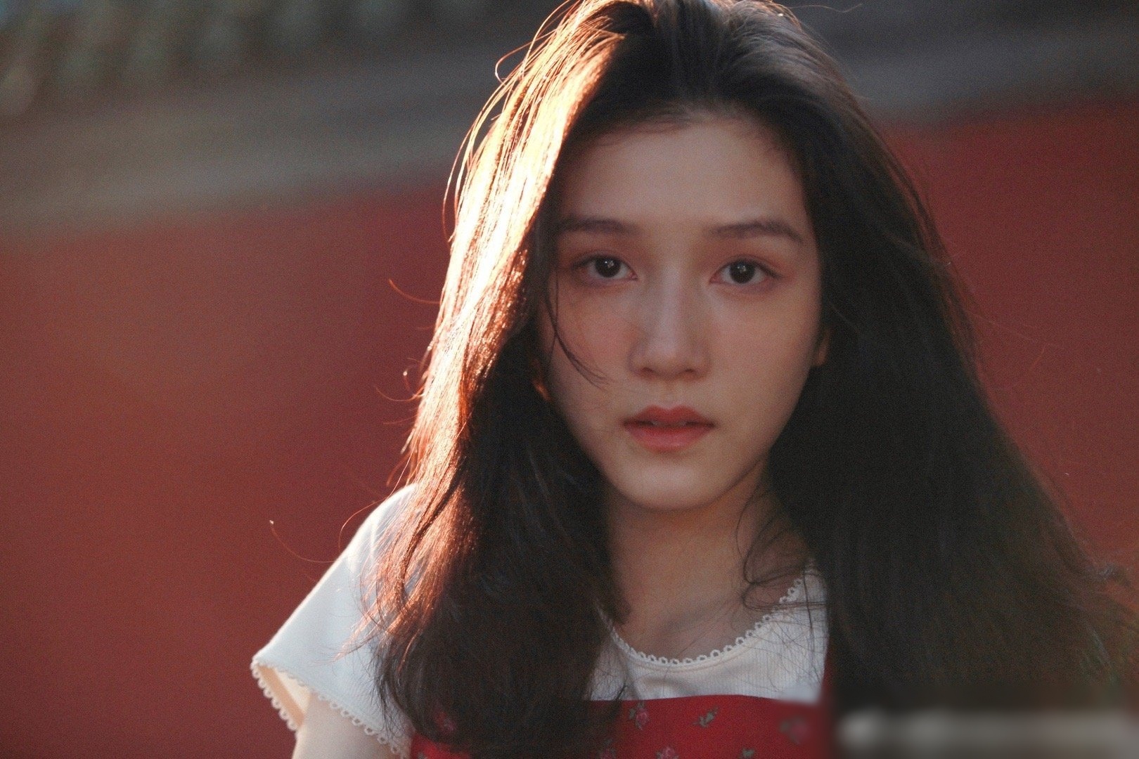 Mai Sieu Phong Nguyen Cu anh 1