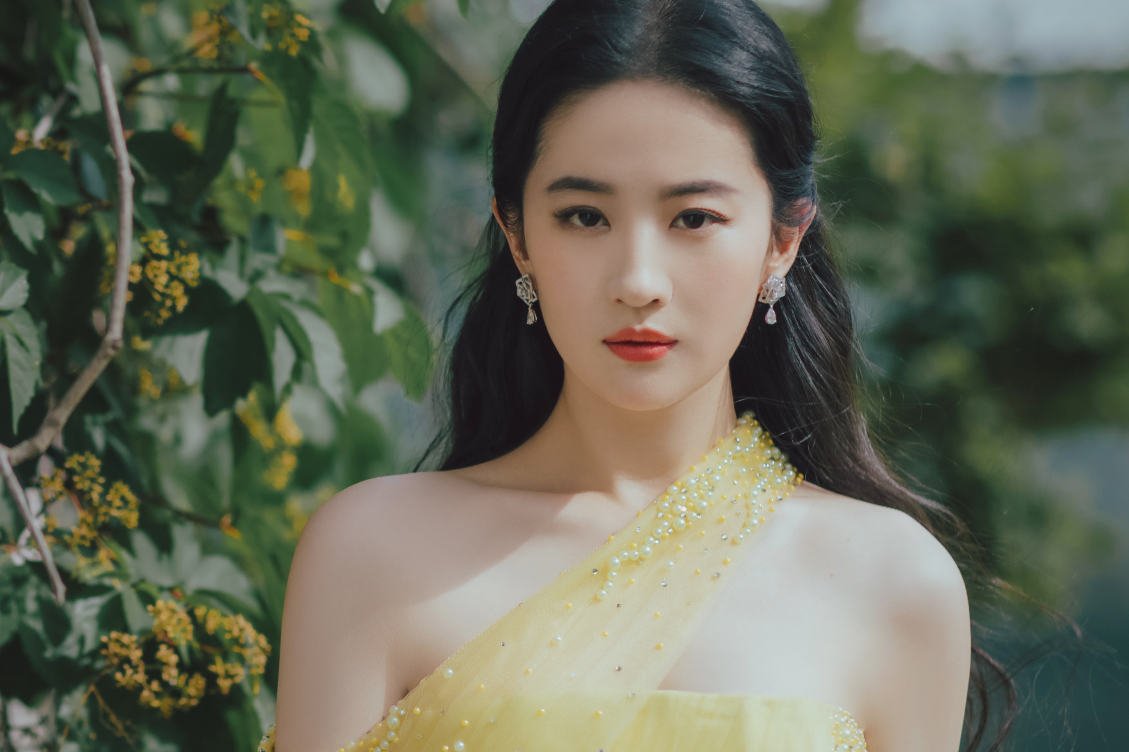 Su tro lai cua Luu Diec Phi hinh anh