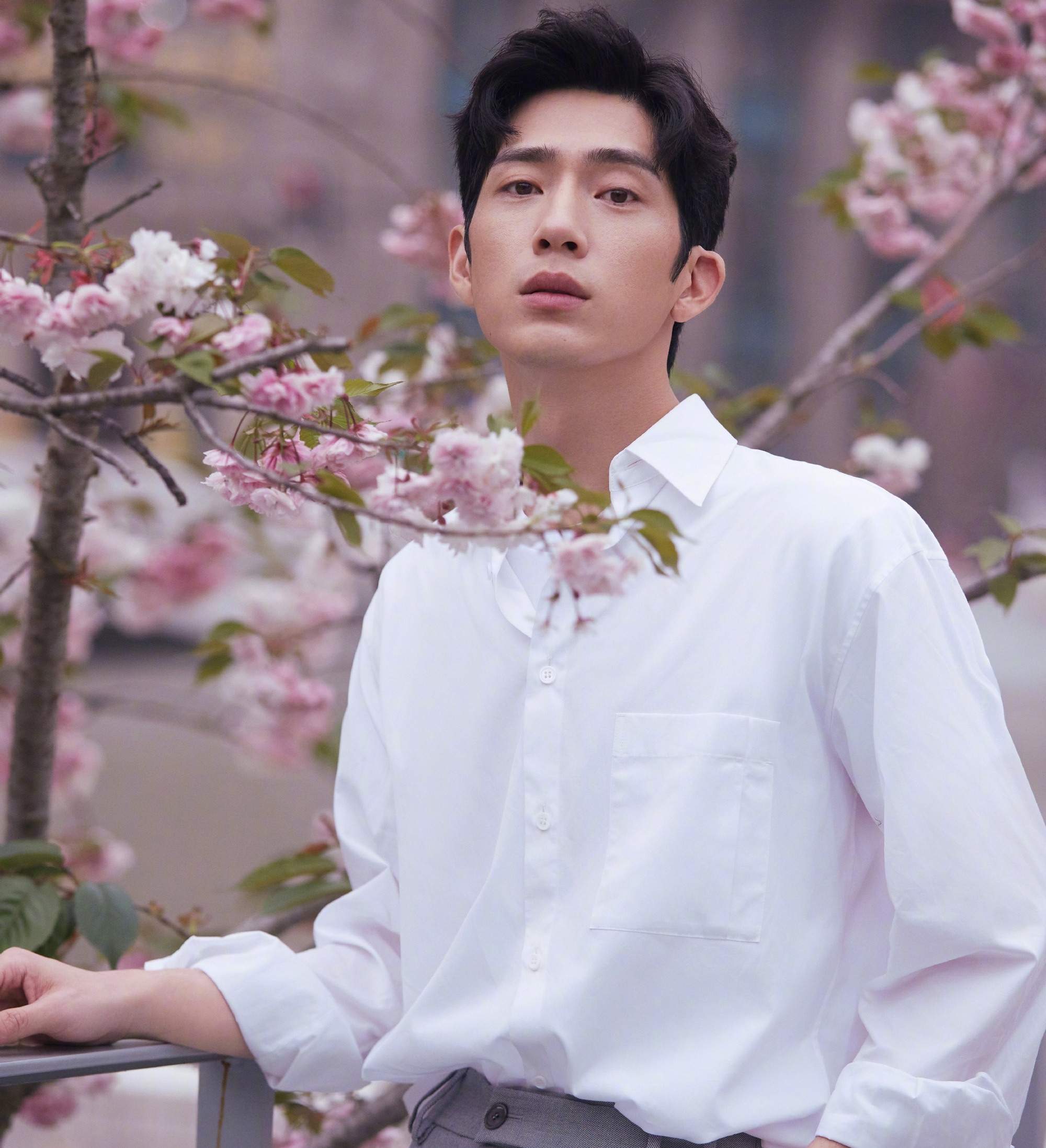 Ngô Diệc Phàm bị bắt ảnh 2 Ngo Diec Pham bi bat anh 2