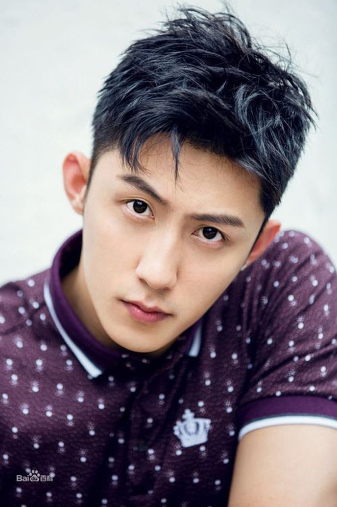 danh sach nghe si bi dieu tra cua Trung Quoc anh 8