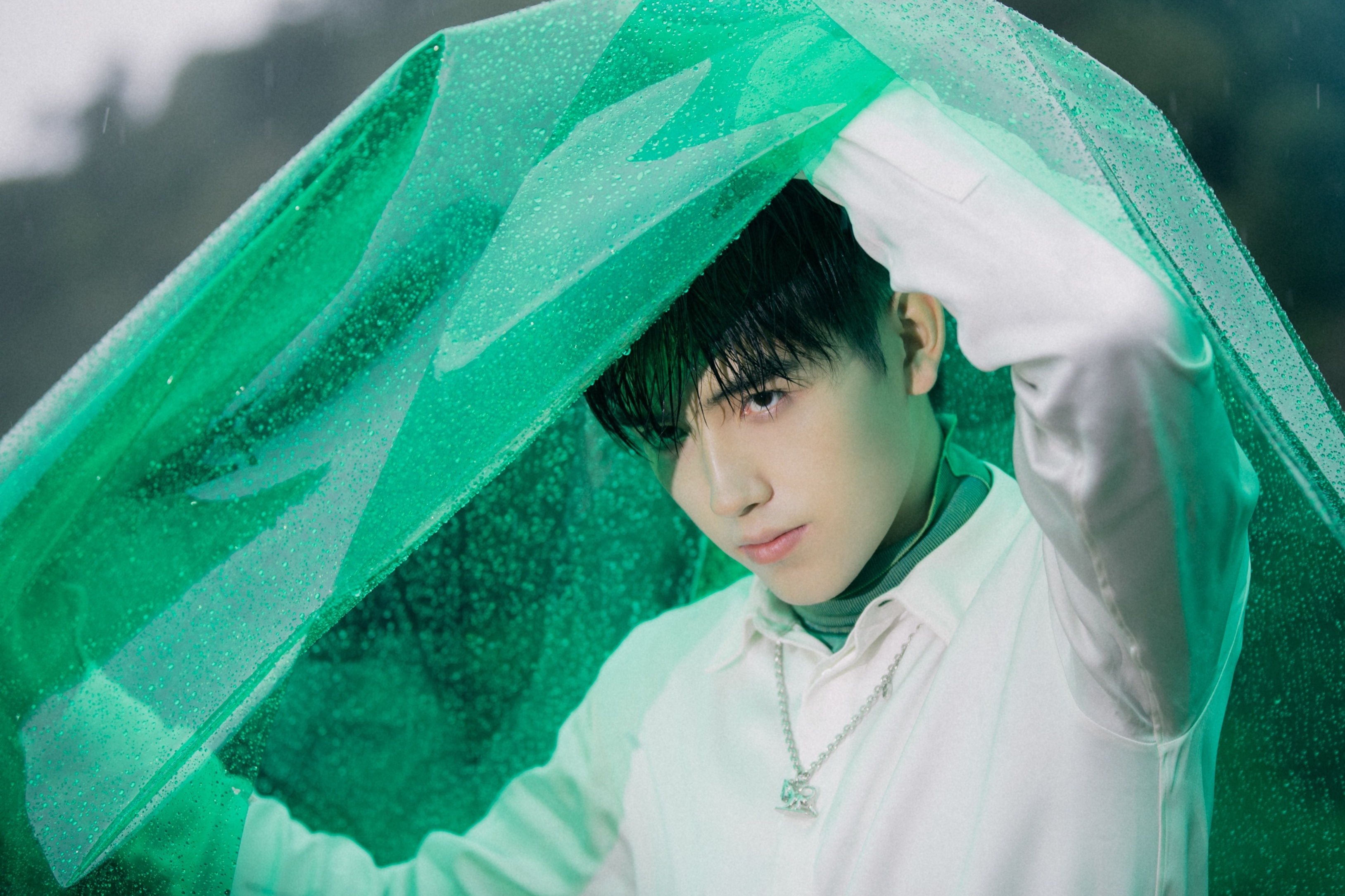 Trần Phi Vũ con trai Trần Khải Ca ảnh 12 Tran Phi Vu con trai Tran Khai Ca anh 12