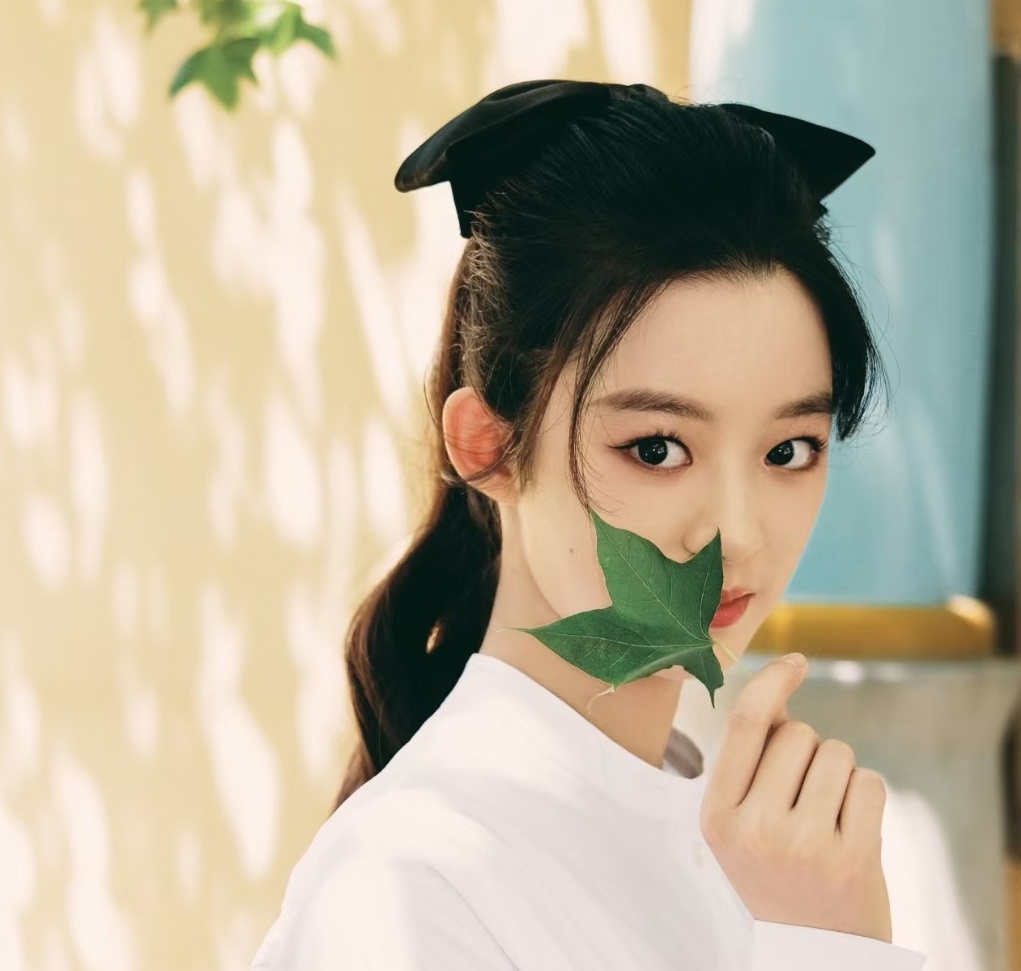 Hoang Duong Dien Diem nghe si cua Duong Mich anh 15