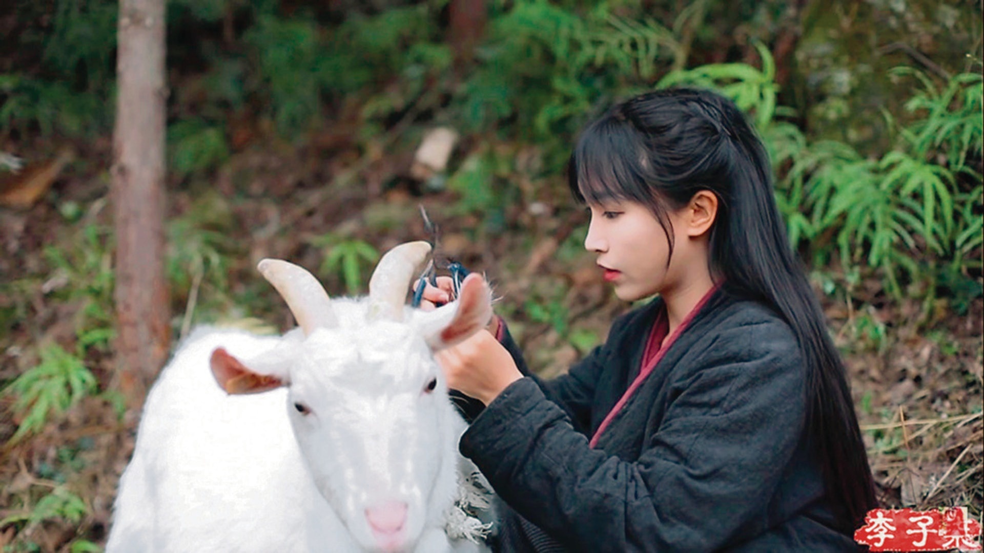 Ly Tu That kien cong ty anh 2