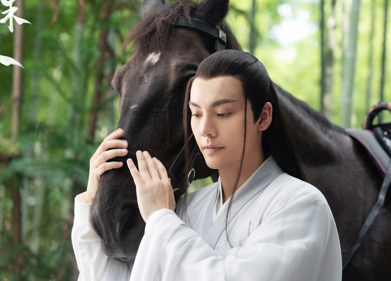 Tran Vy Dinh dien do anh 1