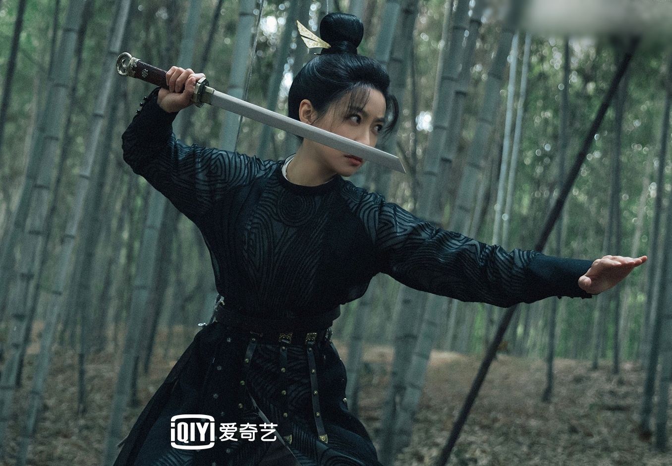 Tuyet trung han dao hanh canh vo thuat cham anh 1