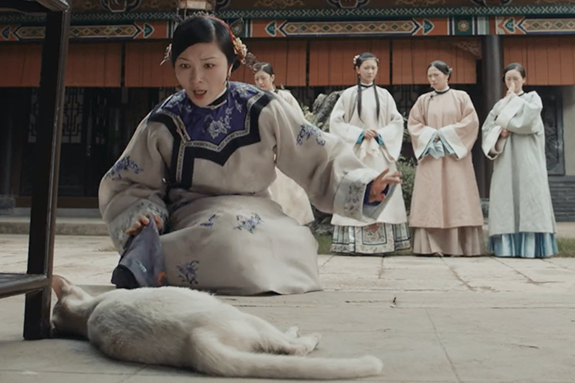 Ba nguoi bi bat vi tung tin doan phim nguoc dai dong vat hinh anh