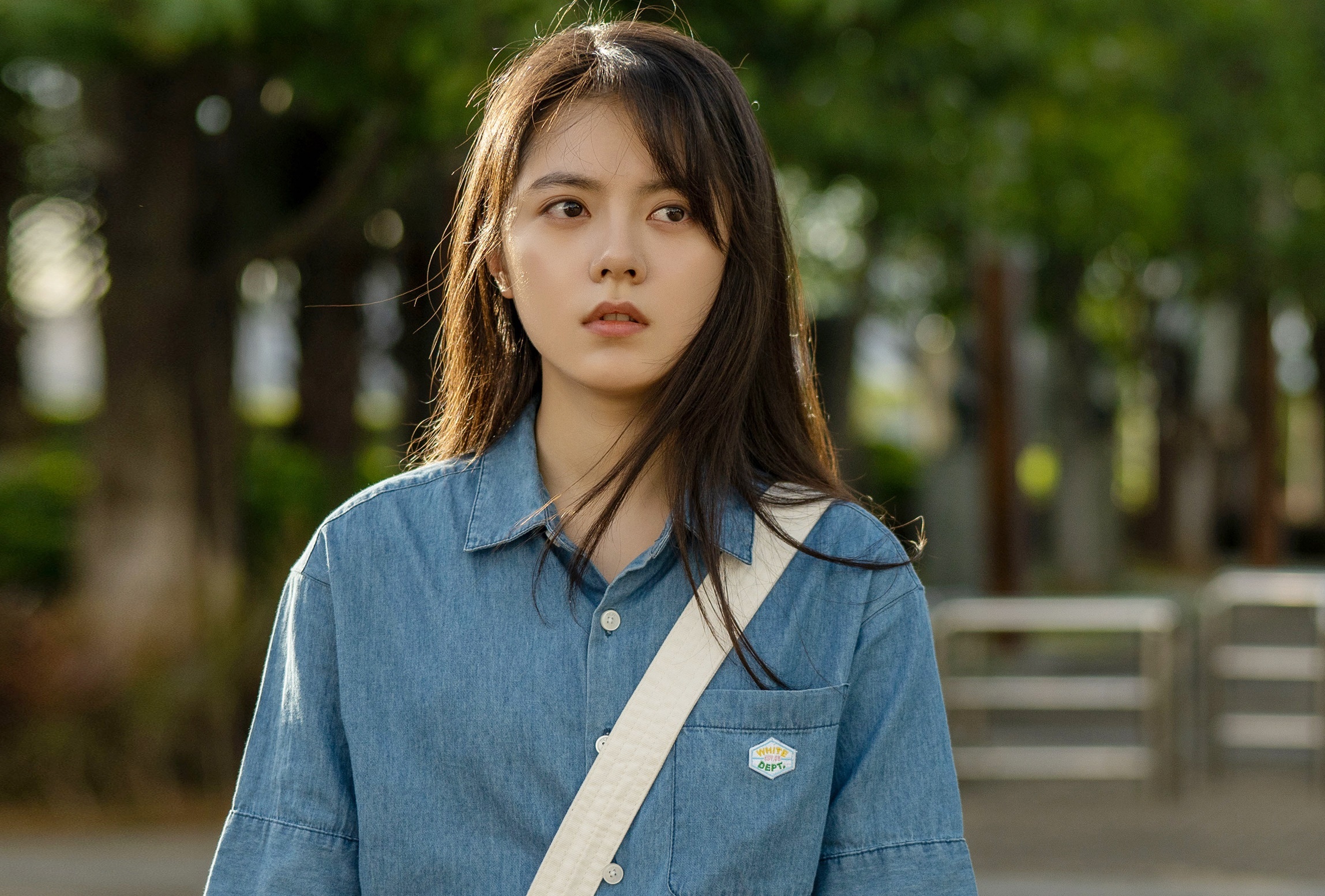 Khởi đầu Triệu Kim Mạch ảnh 1 Khoi dau Trieu Kim Mach anh 1