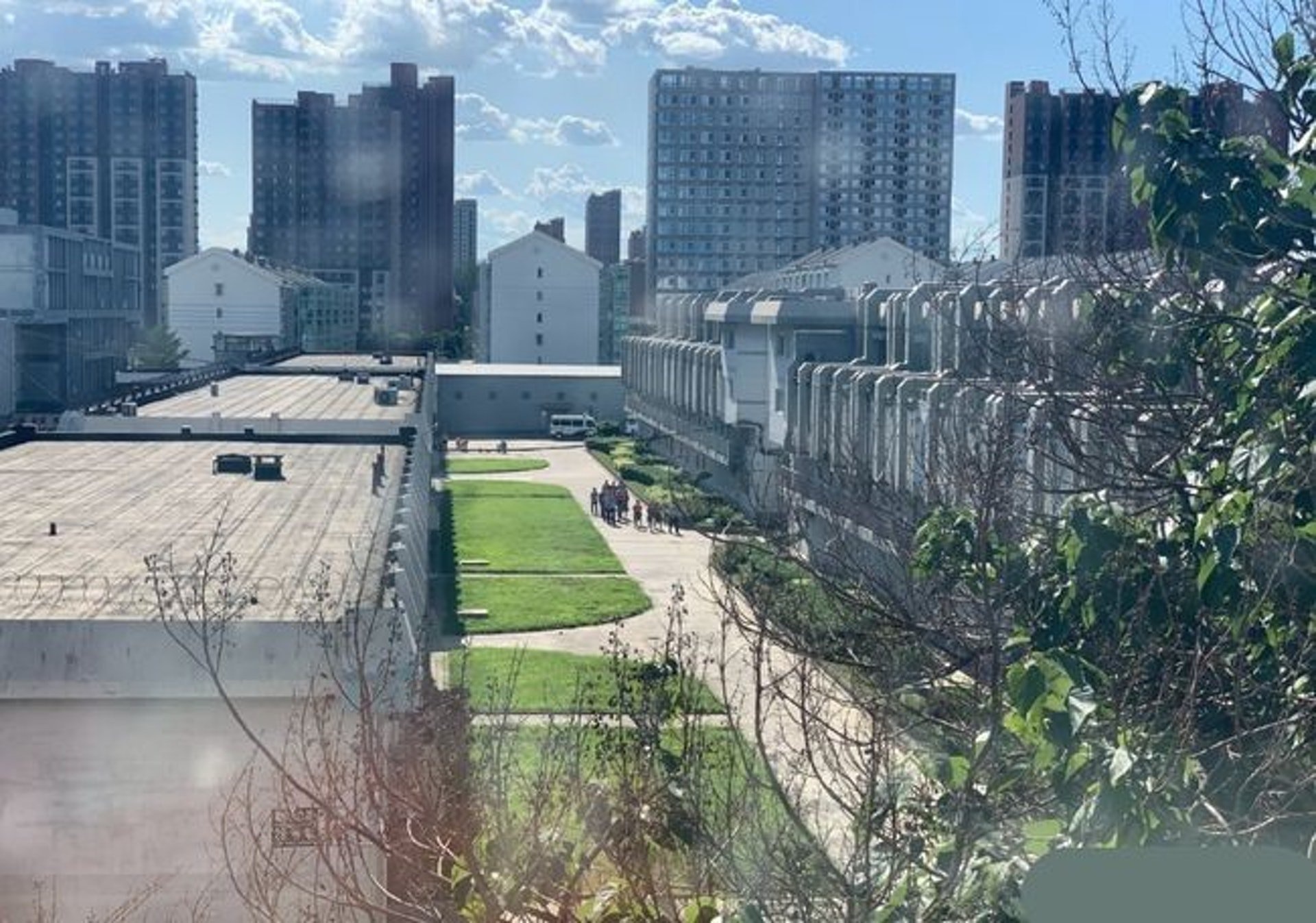 Ngo Diec Pham bi bat anh 2