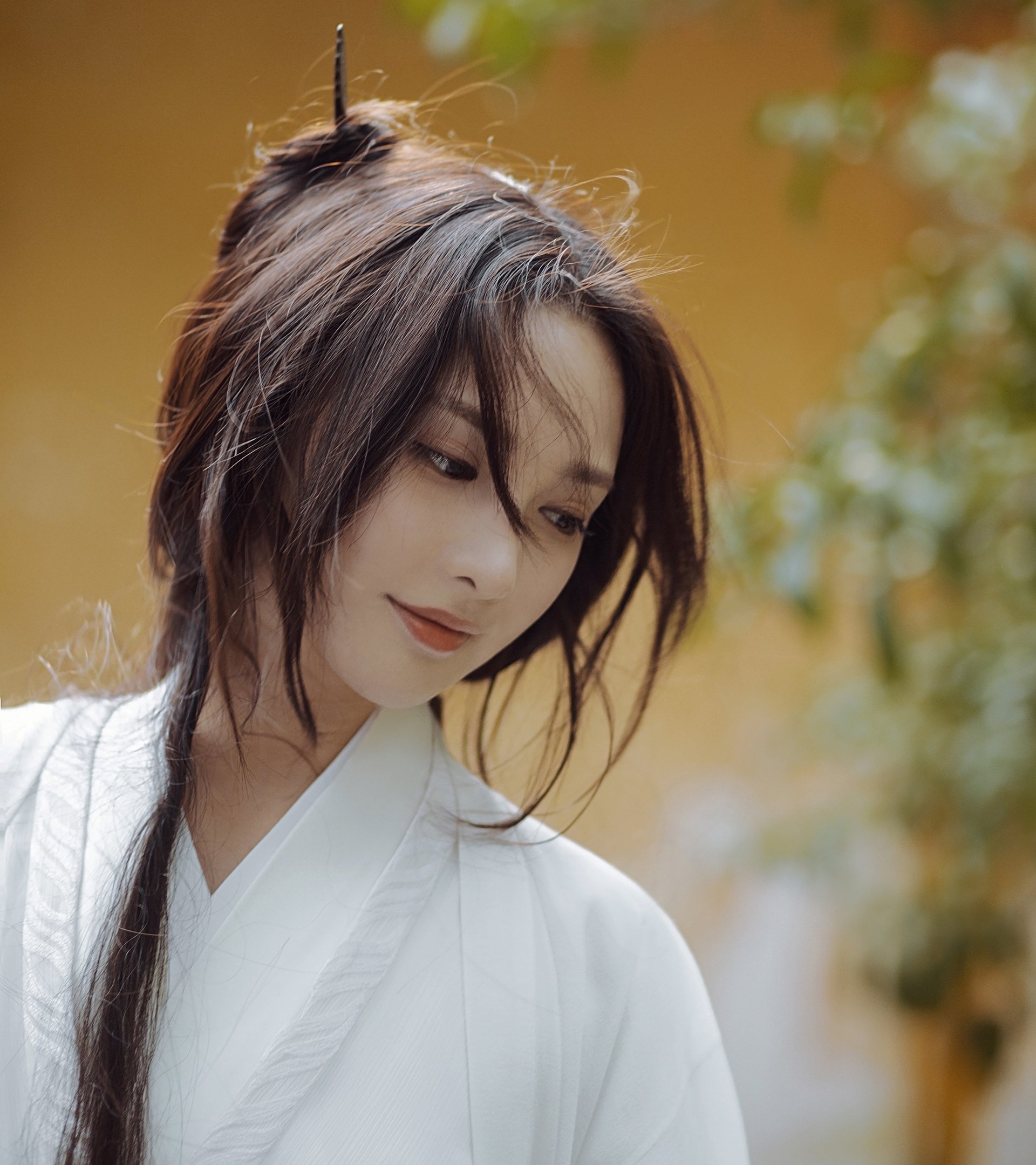 Vu Chinh Dien Hi cong luoc anh 7