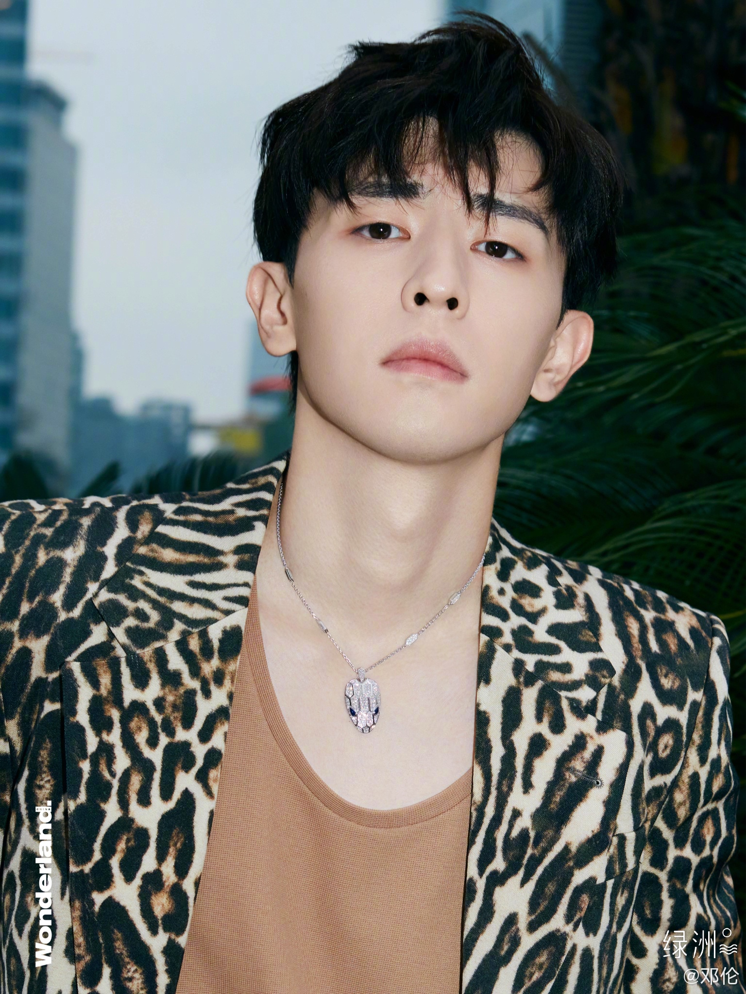 Dang Luan tron thue anh 6