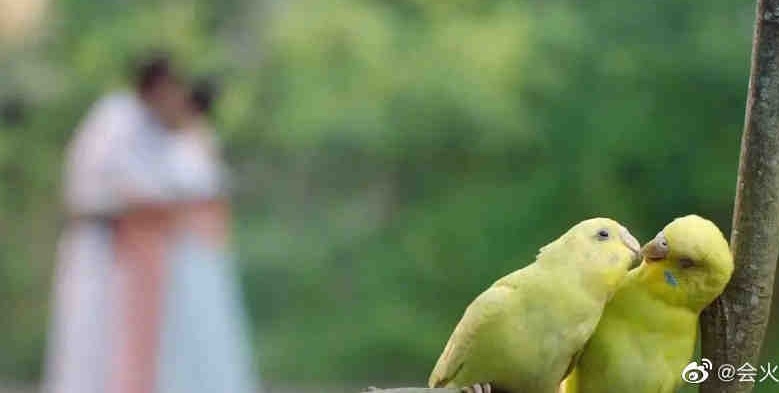 ngự giao ký Địch Lệ Nhiệt Ba ảnh 2 ngu giao ky Dich Le Nhiet Ba anh 2