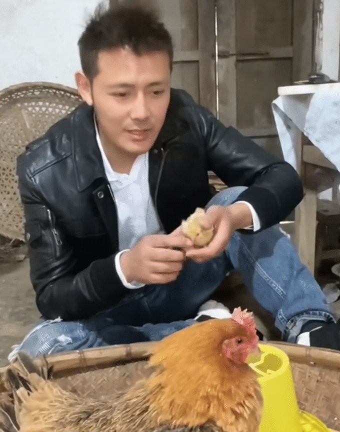 từ hải vi nuôi gà ảnh 1 tu hai vi nuoi ga anh 1