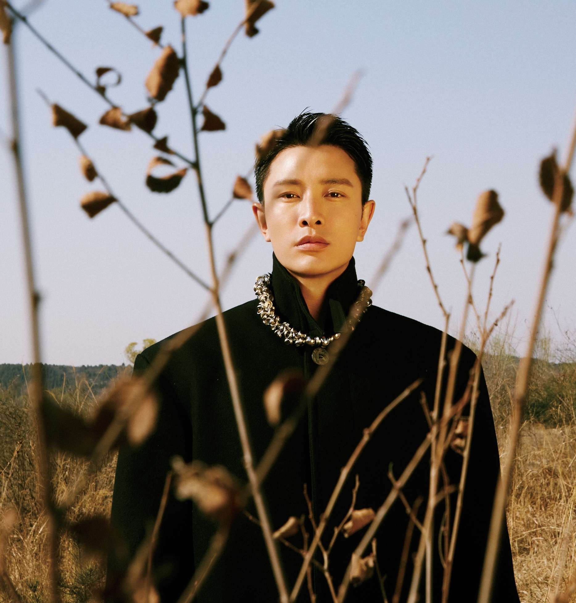 gia nai luong tron thue anh 2