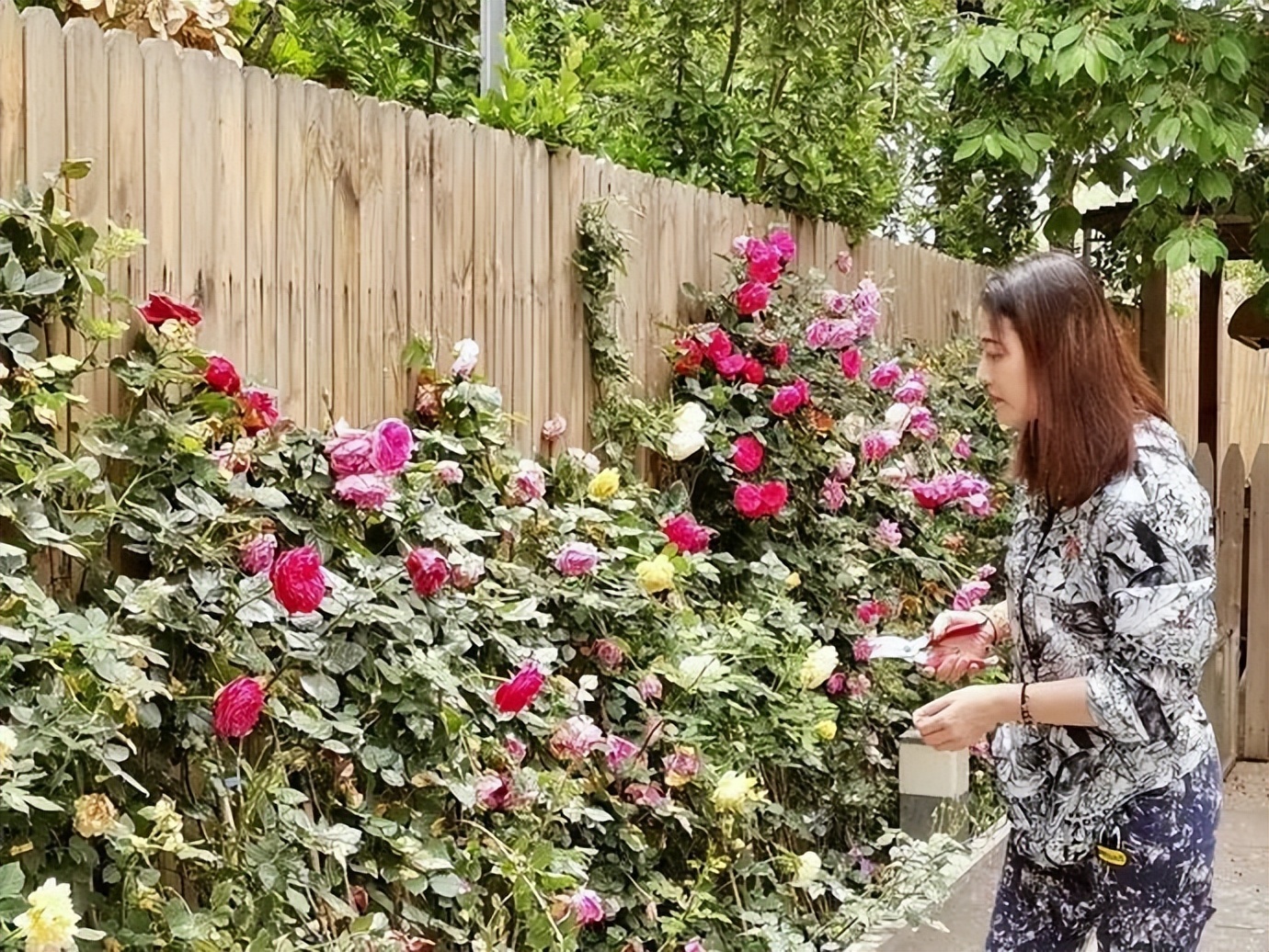 Chau Hai My chu chi nhuoc anh 6