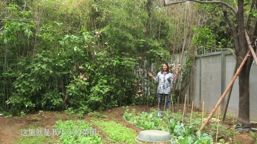 Chau Hai My chu chi nhuoc anh 5