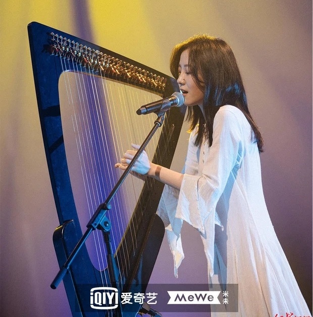 ca si Trung Quoc bi bat vi ma tuy anh 2