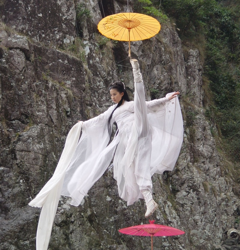 võ thuật Trung Quốc Thả thí thiên hạ ảnh 3 vo thuat Trung Quoc Tha thi thien ha anh 3