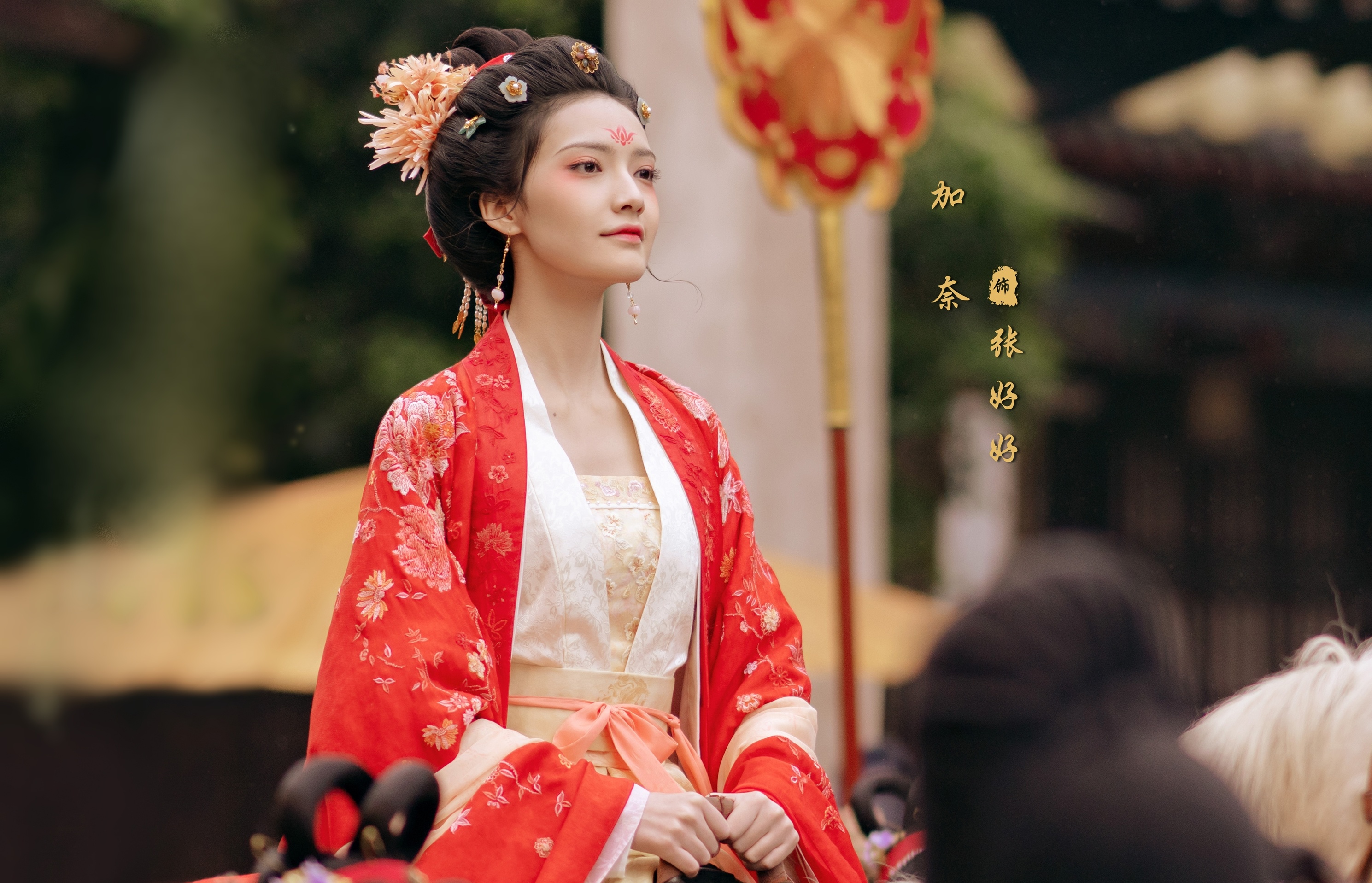 Luu Diec Phi khoac bao tai anh 7