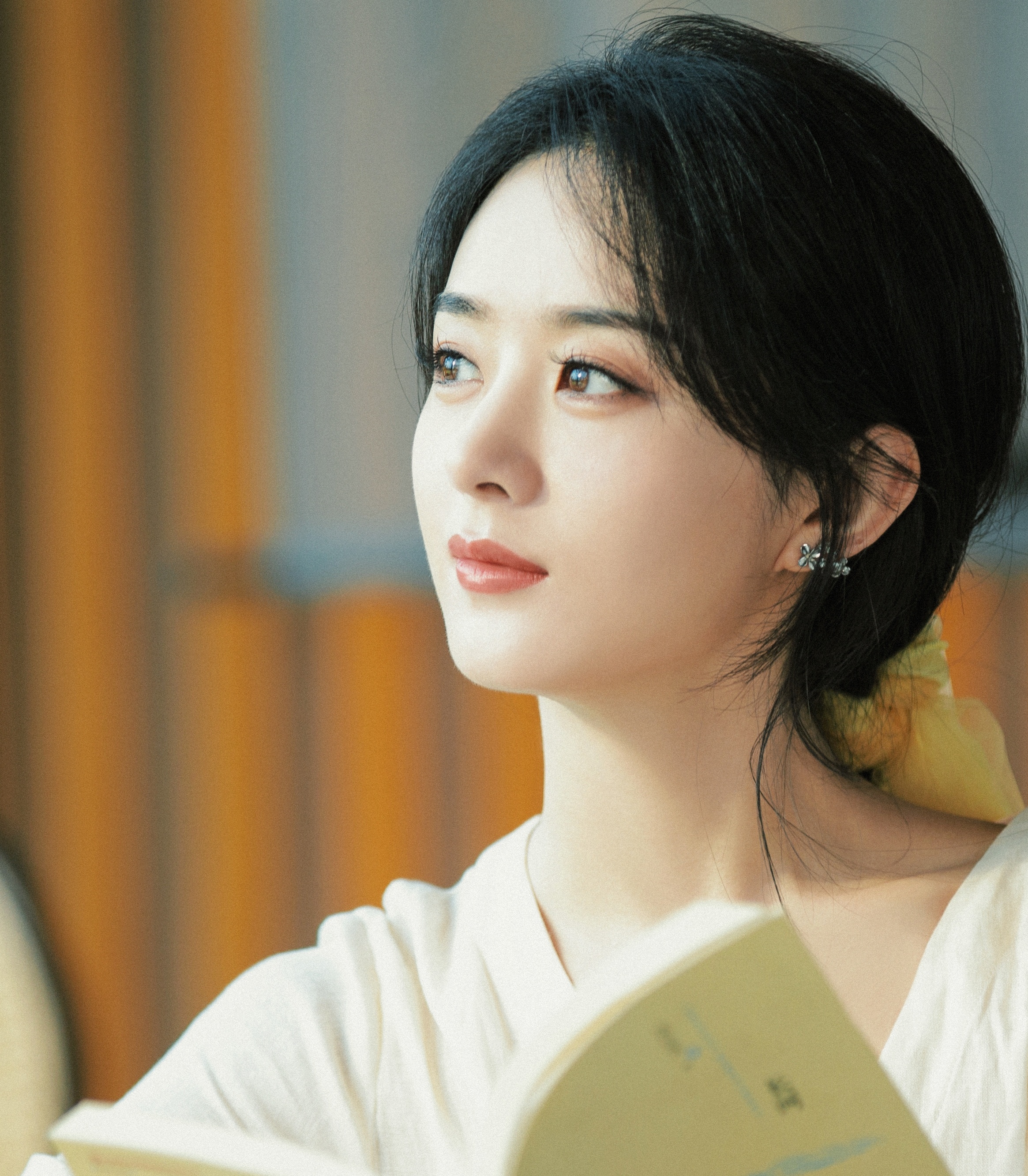 Trieu Le Dinh bi phat anh 2