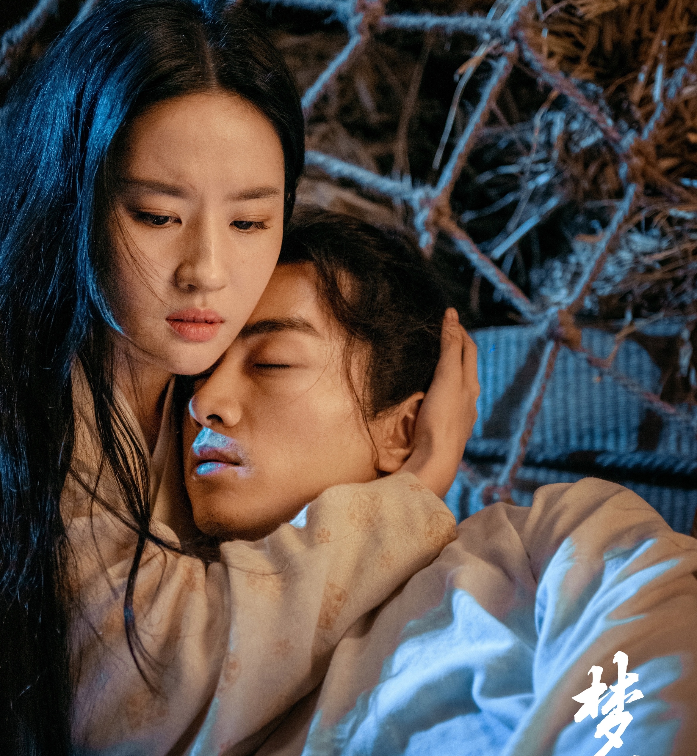 Luu Diec Phi mong hoa luc anh 4