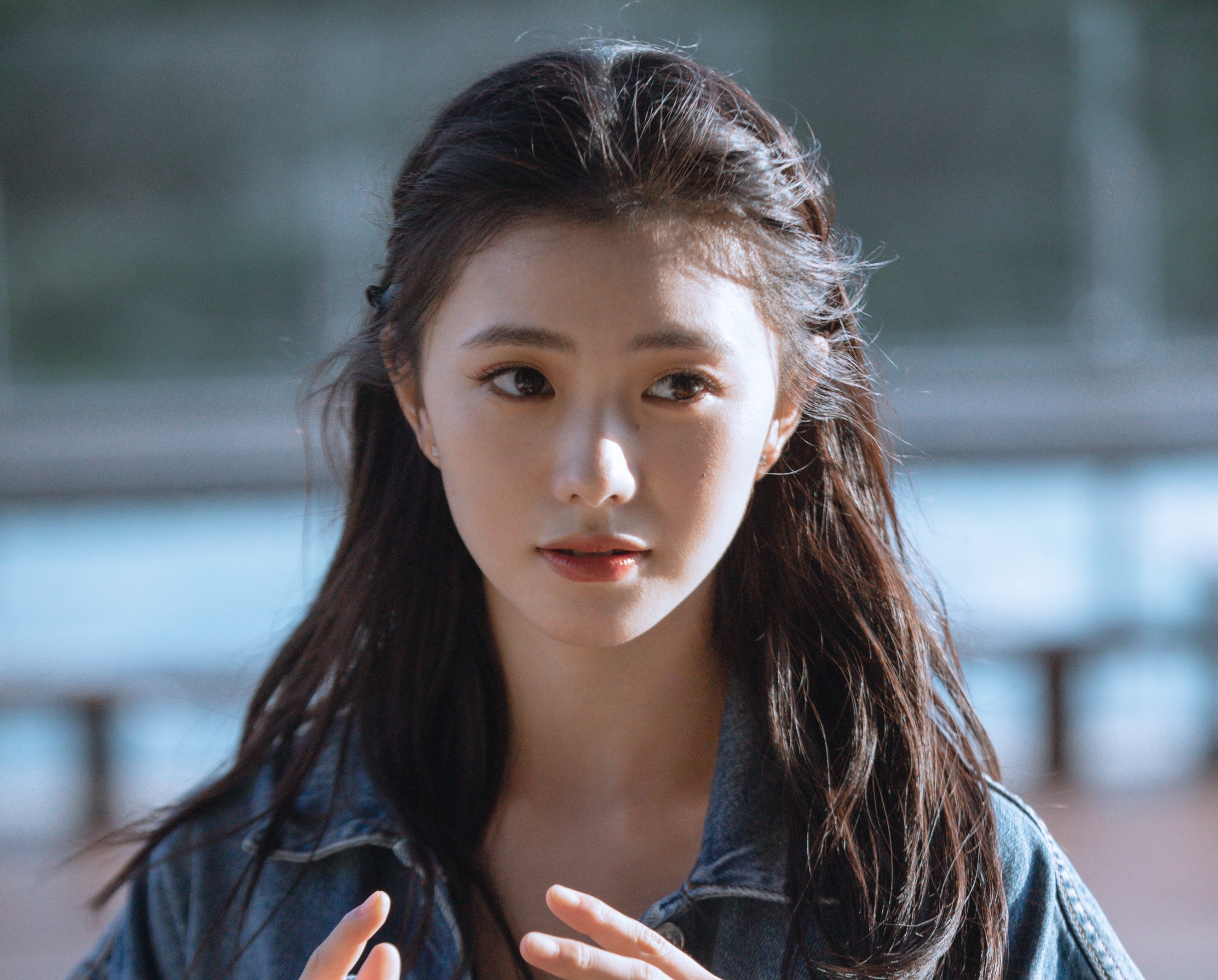 Luu Hao Ton dao van anh 1