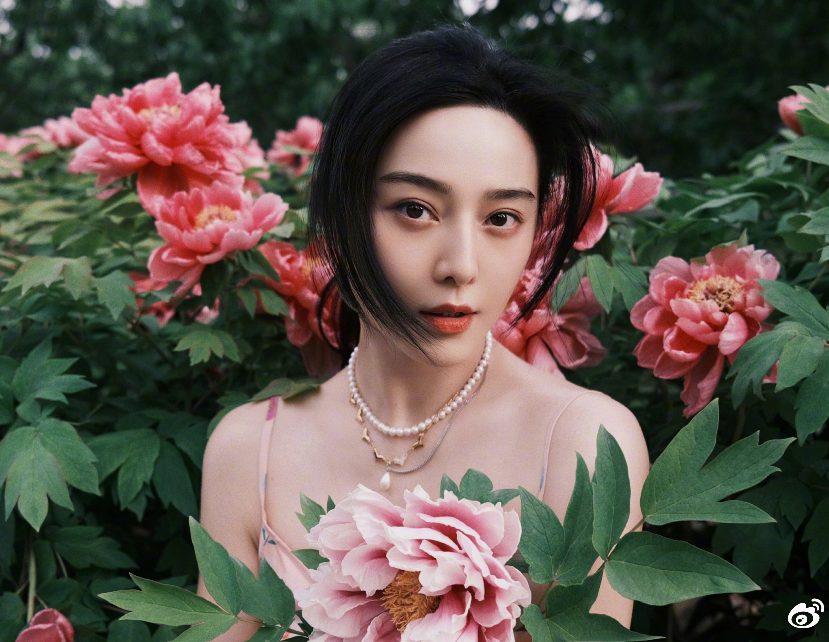 Pham Bang Bang vuc day su nghiep anh 8