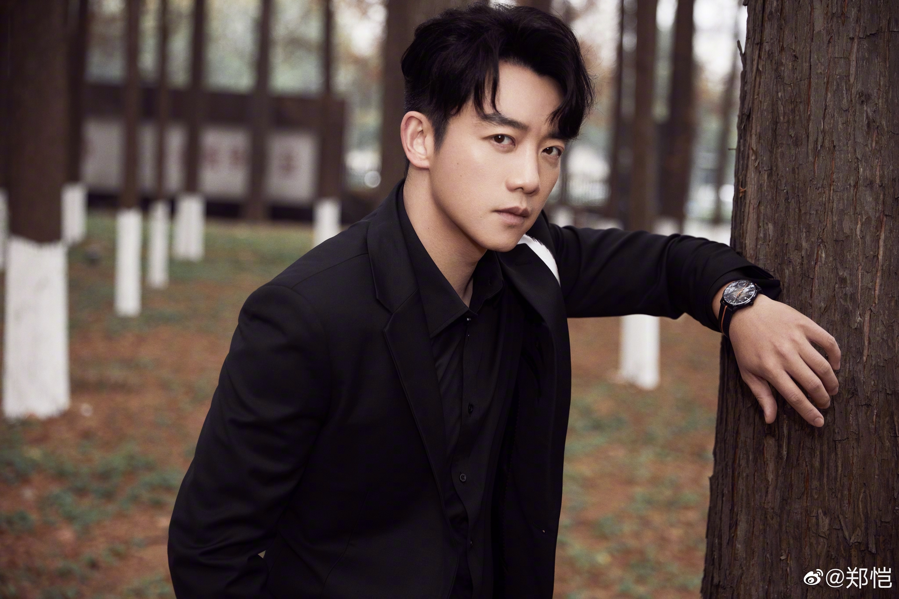 Trinh Khai bi dong bang tai san anh 1