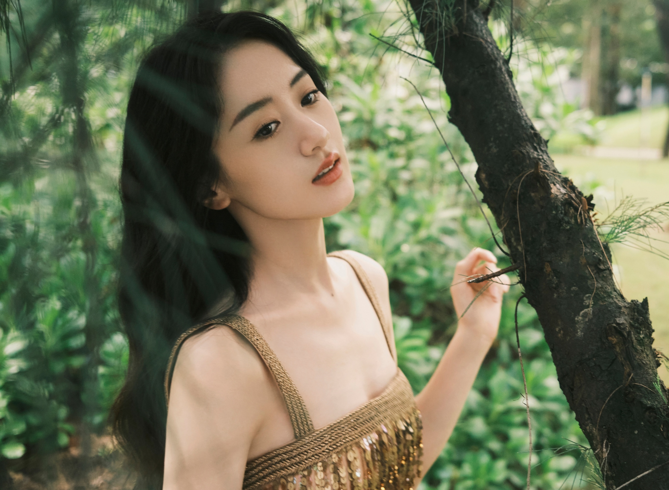 Viên Băng Nghiên trốn thuế ảnh 3 Vien Bang Nghien tron thue anh 3