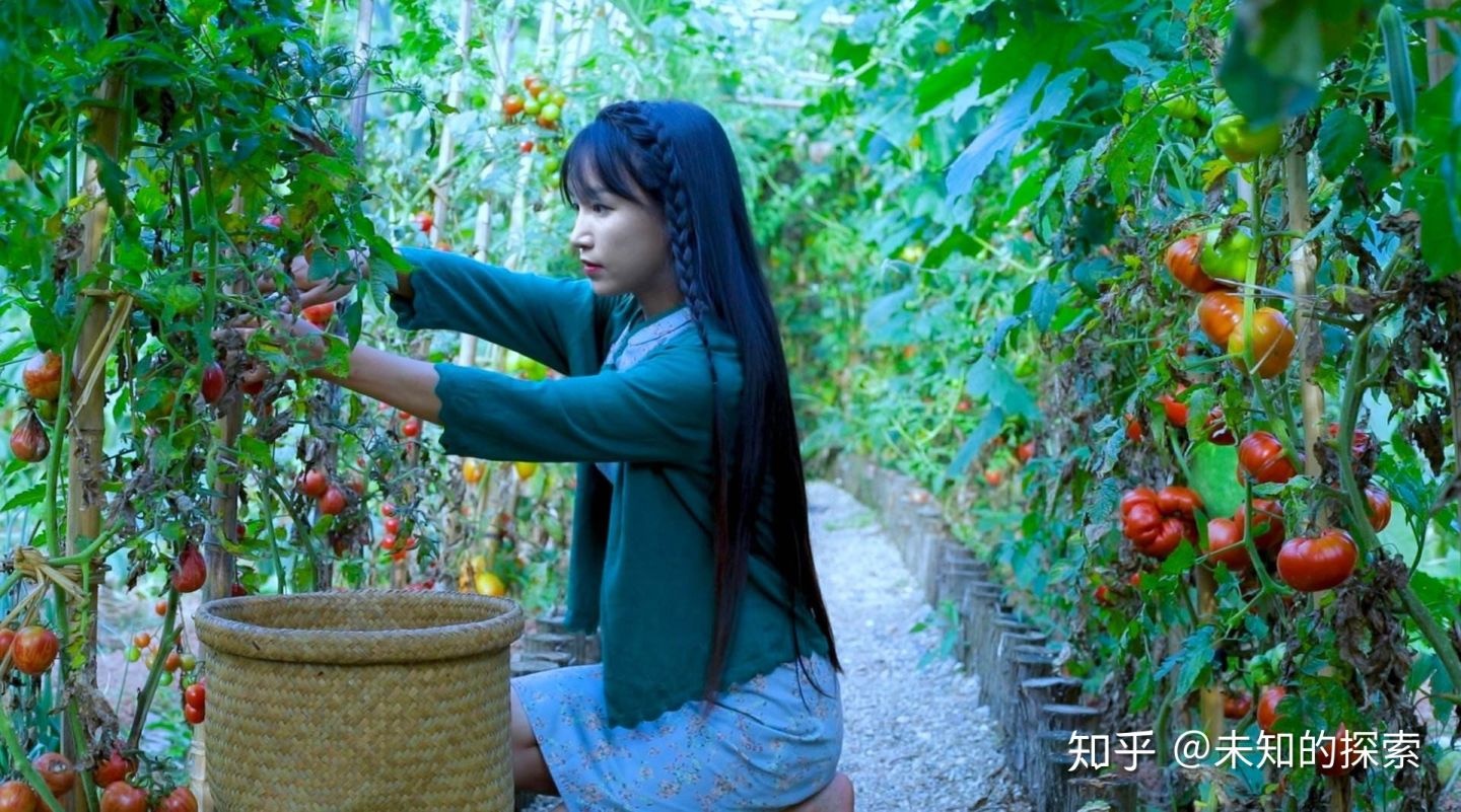 Ly Tu That kien cong ty quan ly anh 2