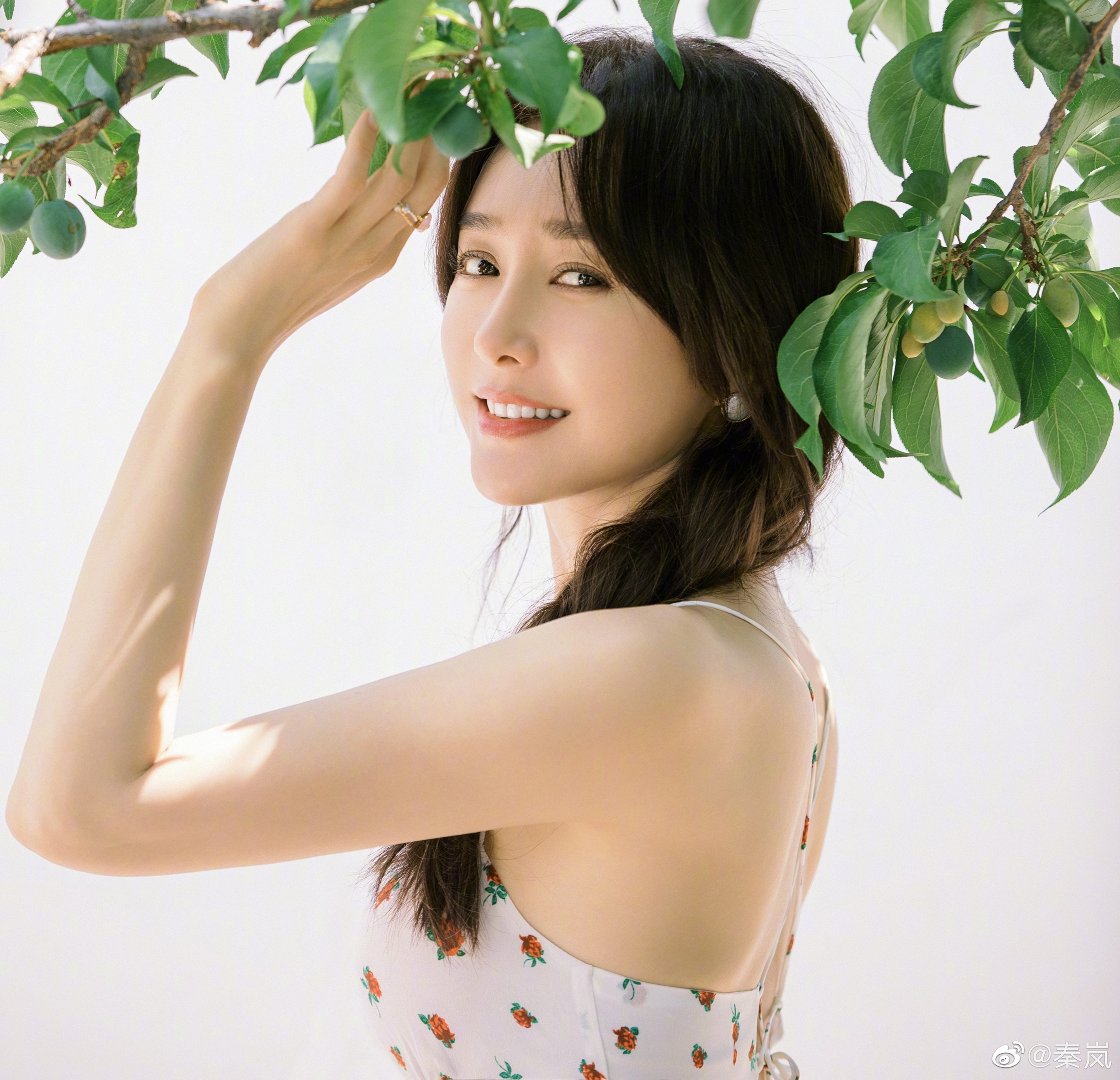 Tan Lam Dien Hi cong luoc anh 2