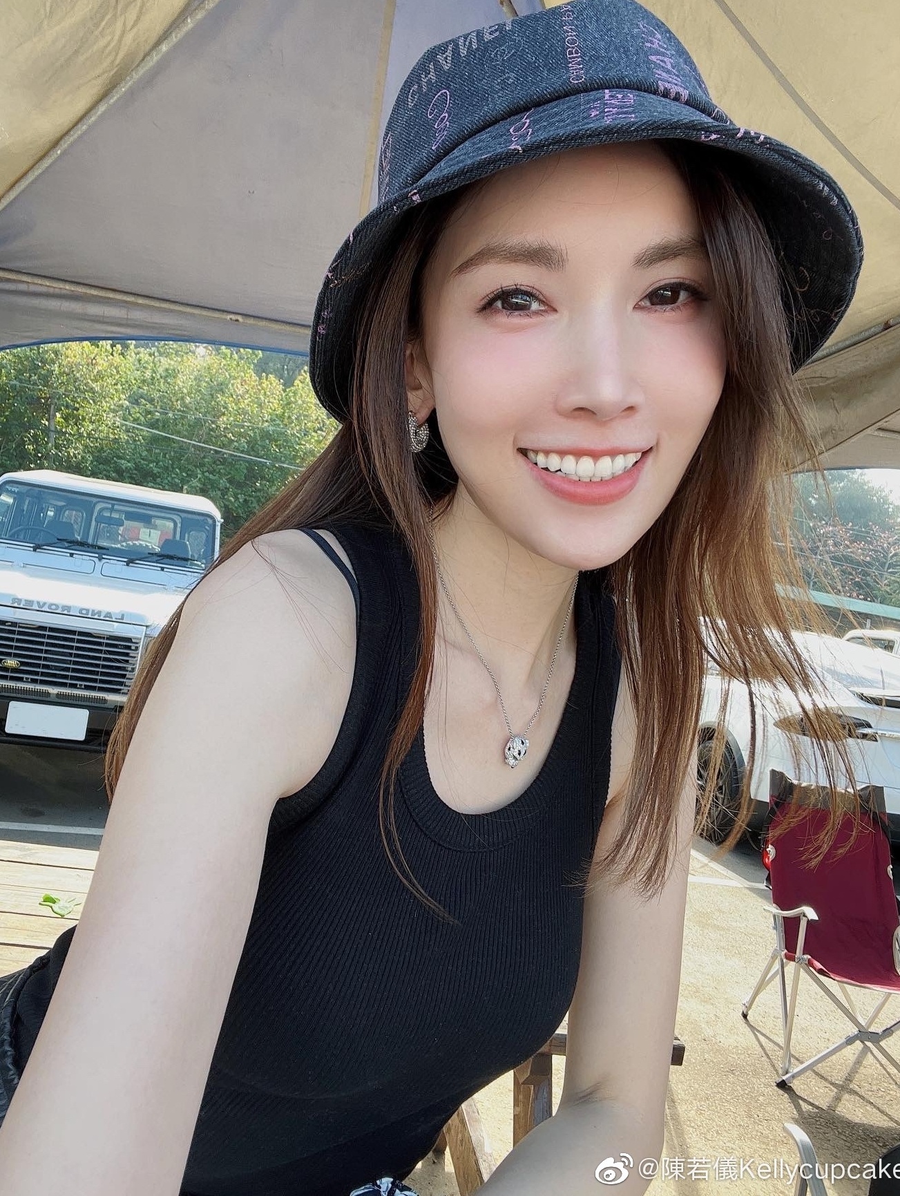 Lam Chi Dinh bi tai nan anh 1