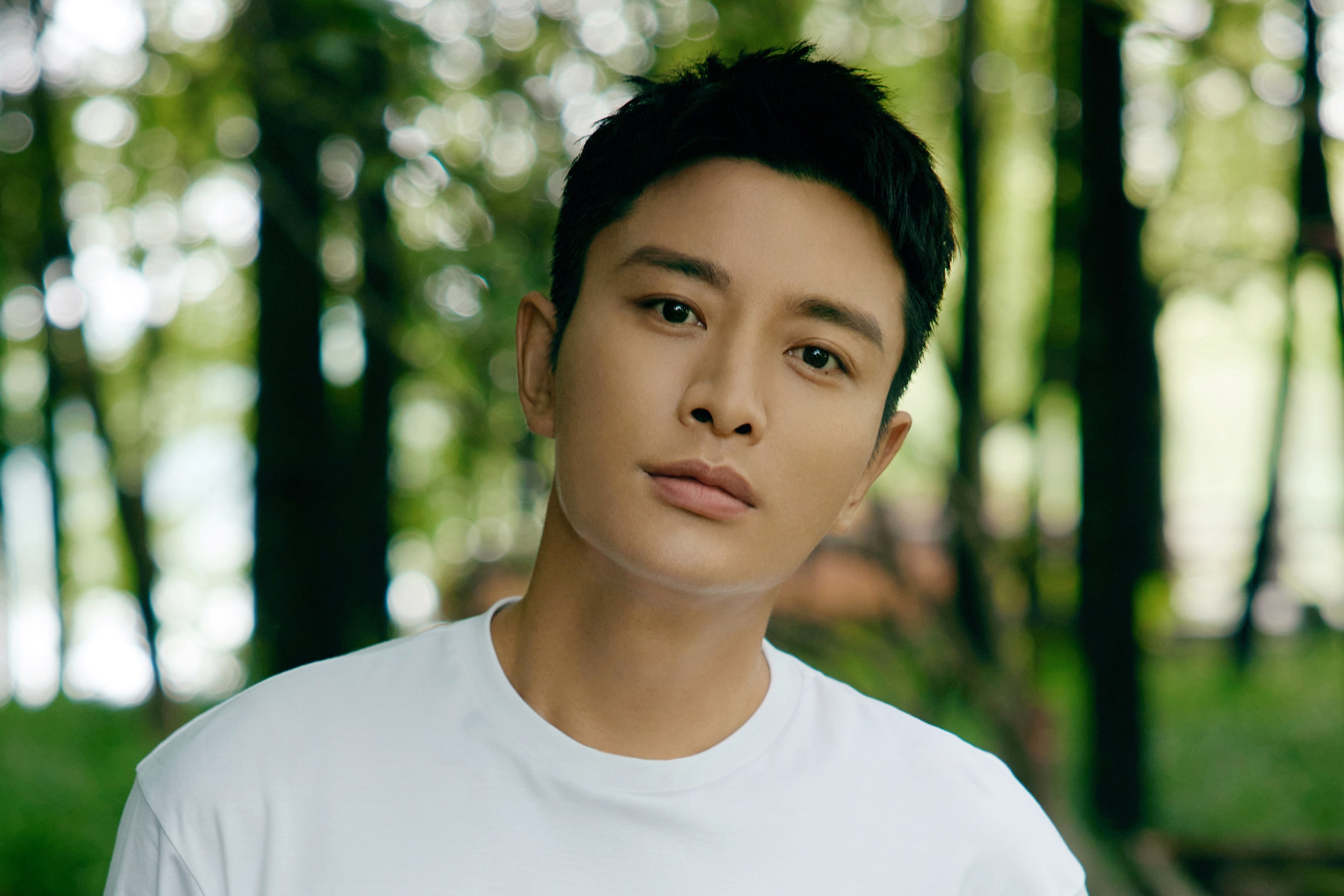 Gia Nai Luong sa sut danh tieng hinh anh