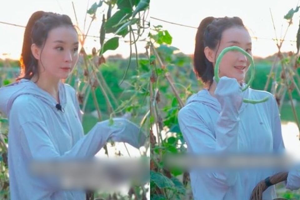 Vuong Diem lam video cuoc song thon que nhu Ly Tu That hinh anh