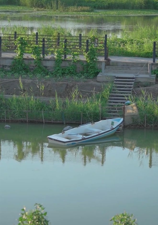 Vuong Diem tinh nhi cach cach giau co anh 4