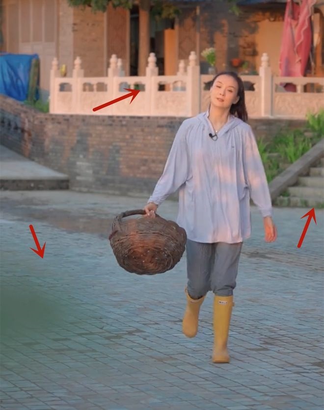 Vuong Diem tinh nhi cach cach giau co anh 6