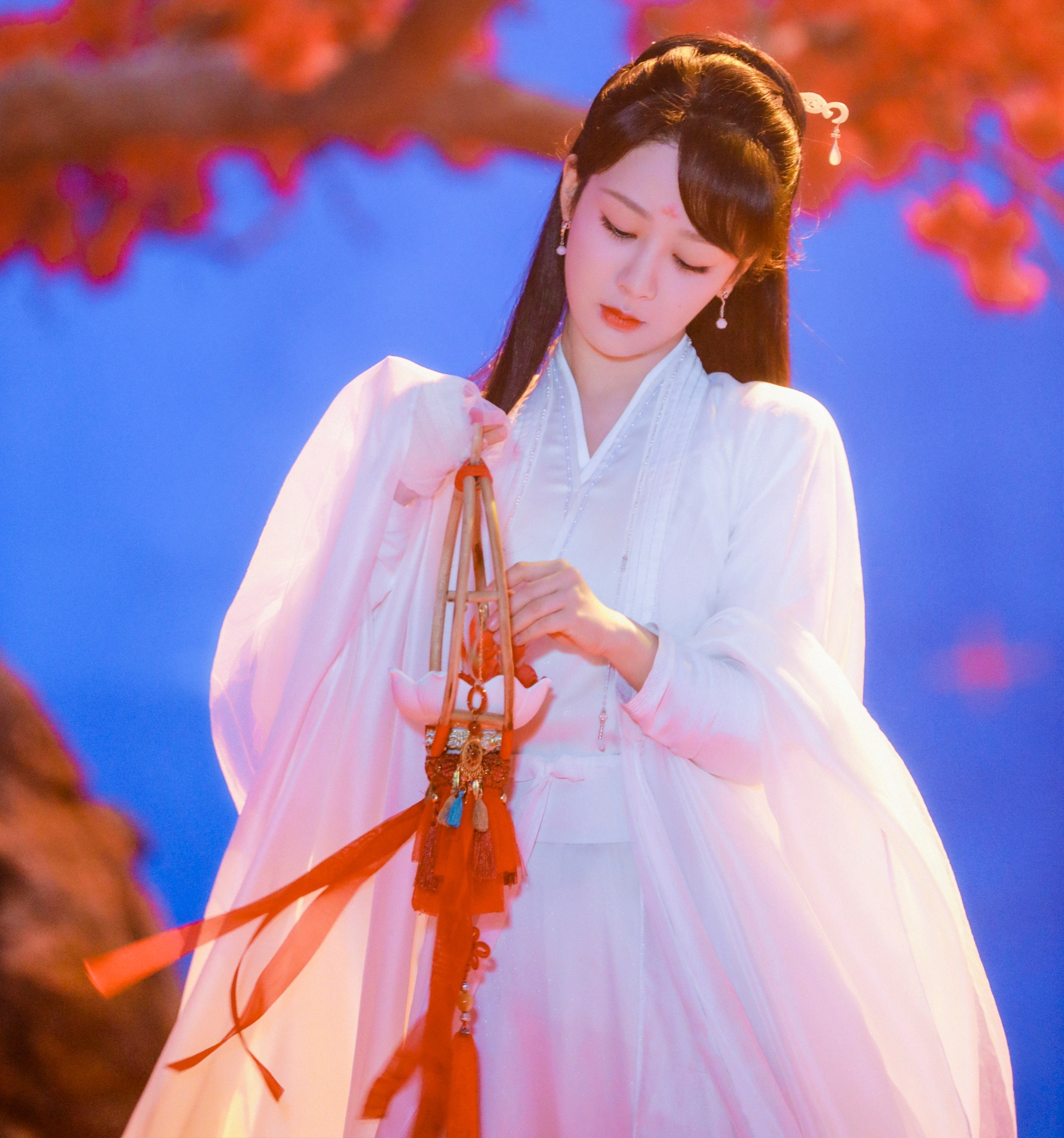 Truong tuong tu anh 2