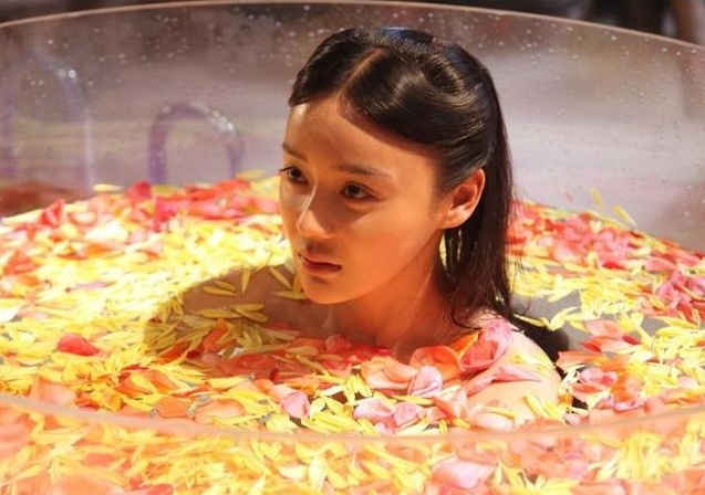 Lưu Diệc Phi ảnh 3 Luu Diec Phi anh 3