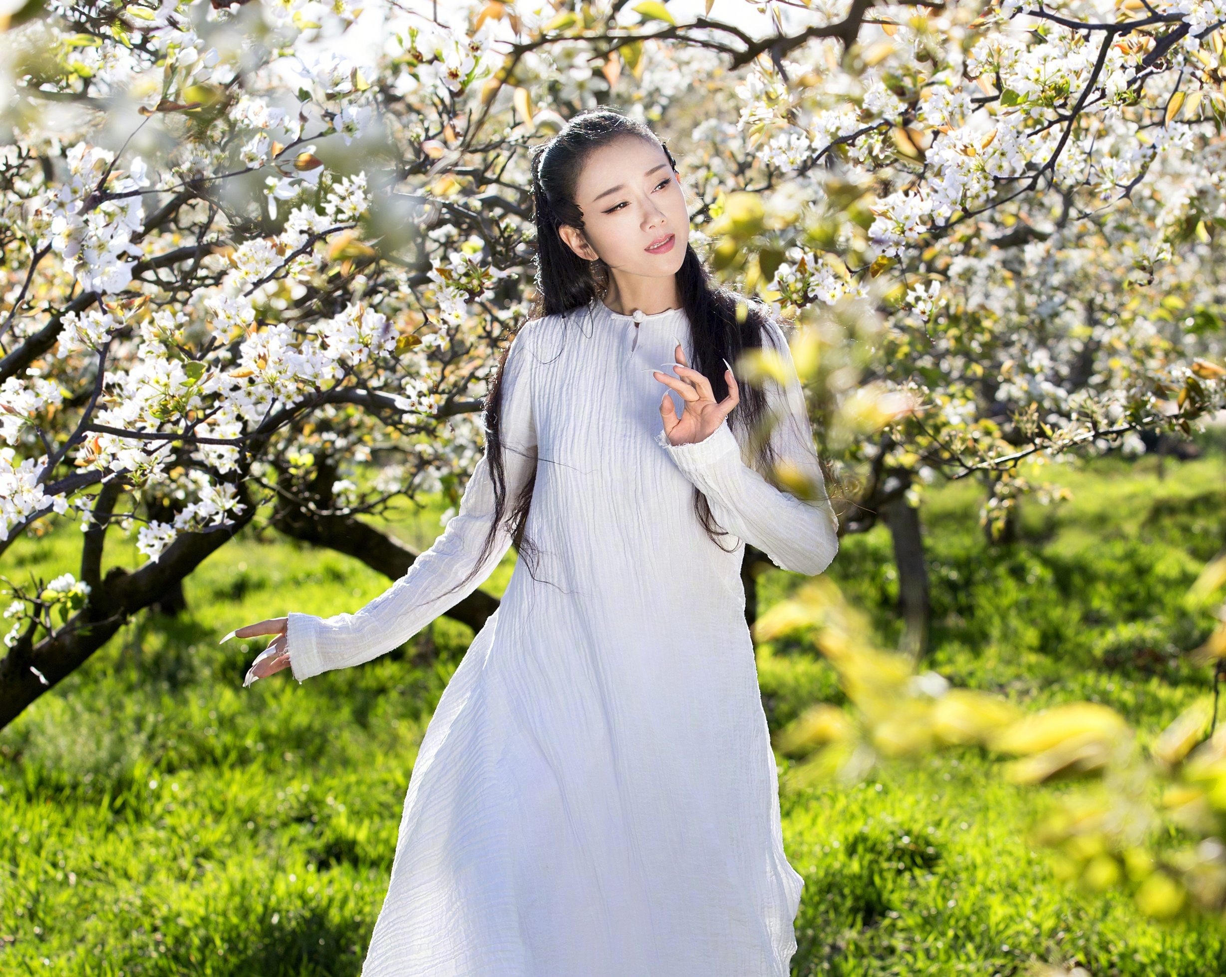 Dương Lệ Bình ảnh 3 Duong Le Binh anh 3