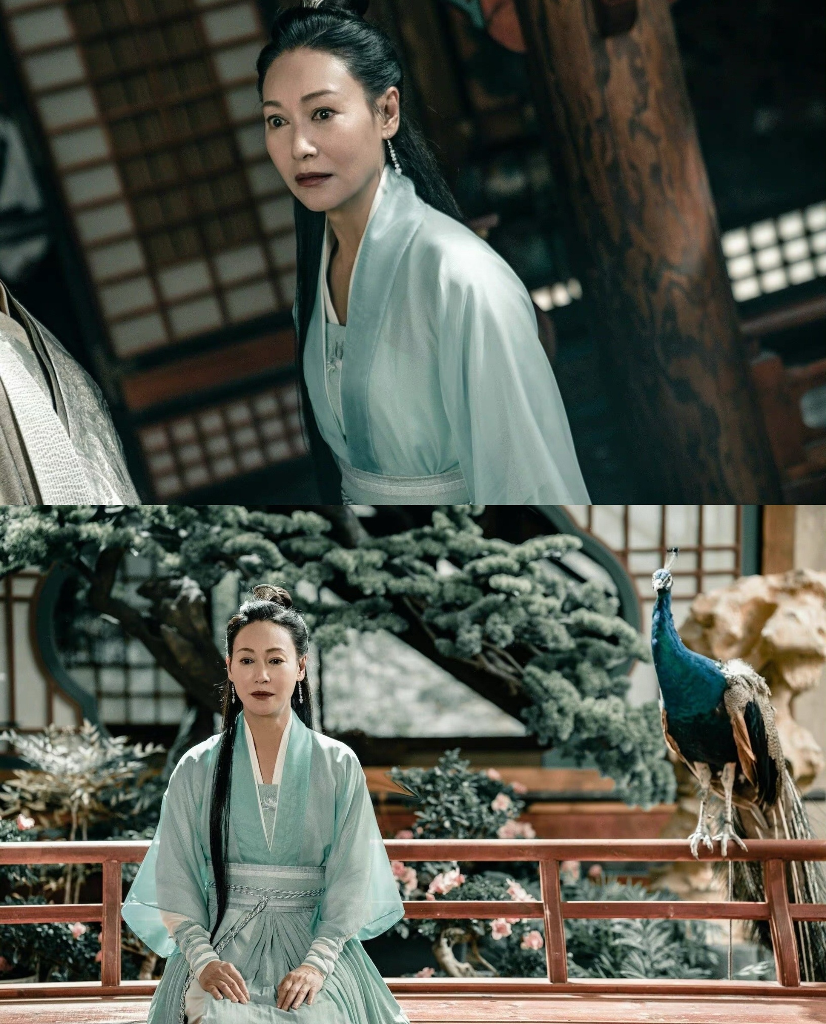 Chân Tử Đan ảnh 9 Chan Tu Dan anh 9