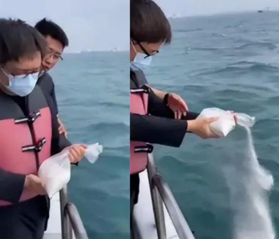 Lâm Tĩnh Ân ảnh 2 Lam Tinh An anh 2