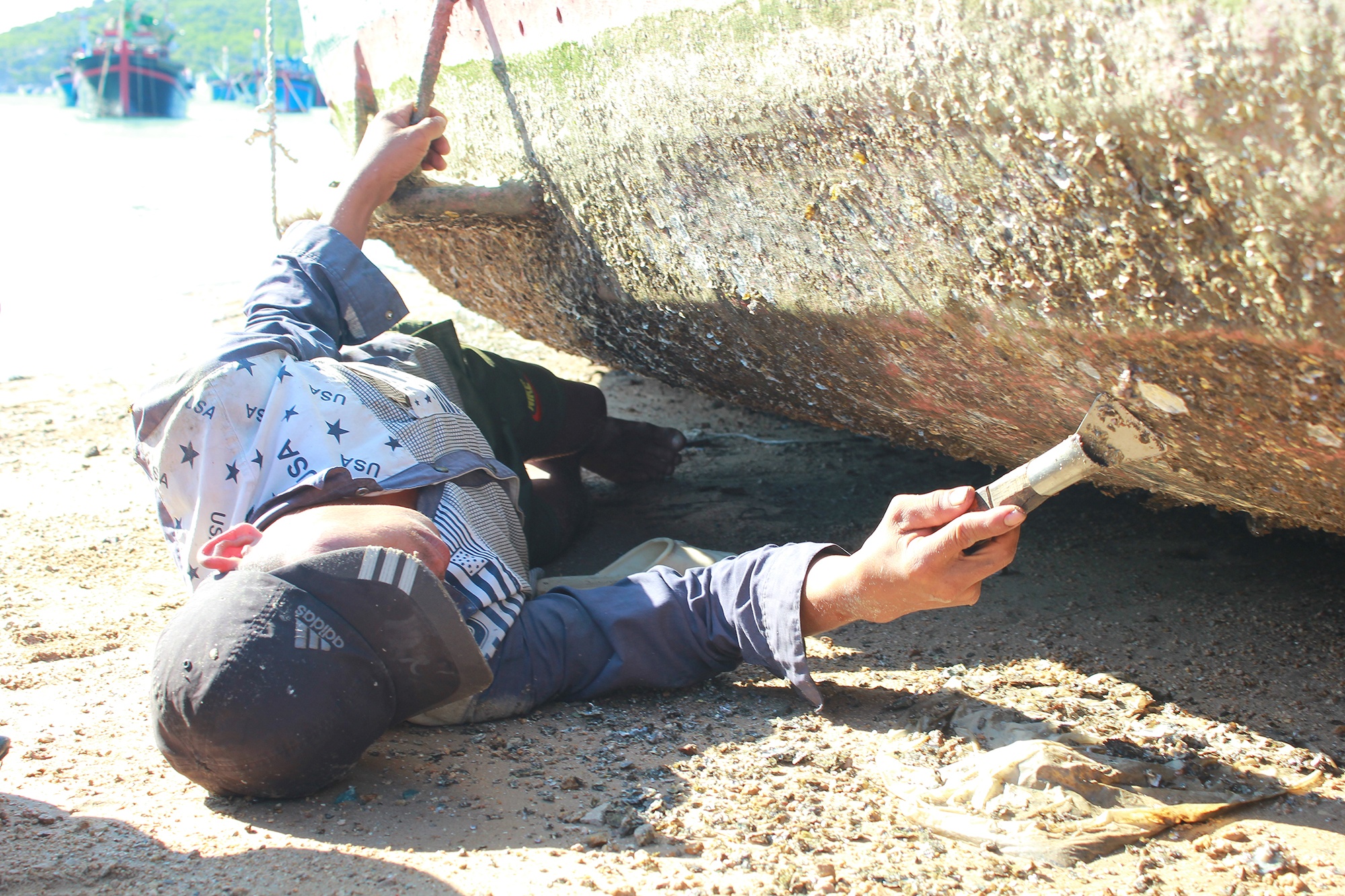 Cao ha - nghe khong ai them lam hinh anh