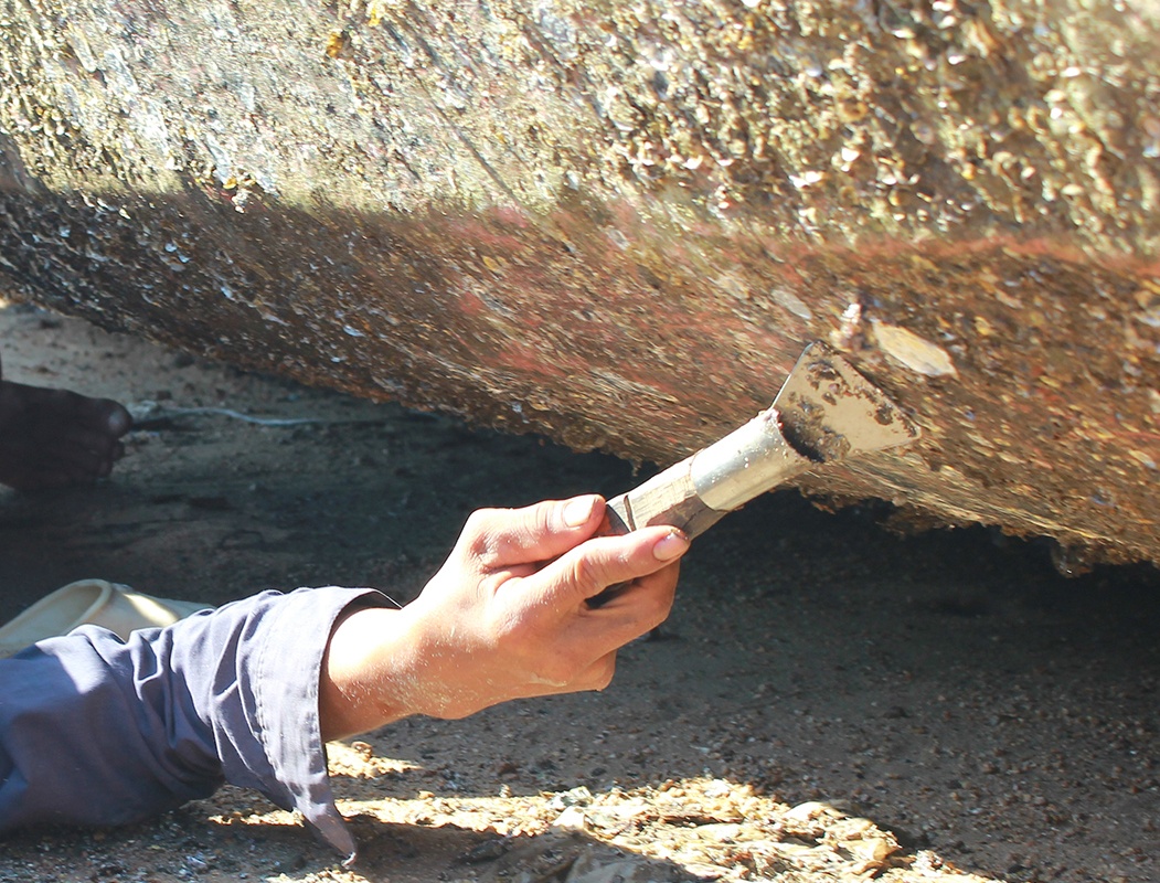 nghề cạo hà ảnh 2 nghe cao ha anh 2