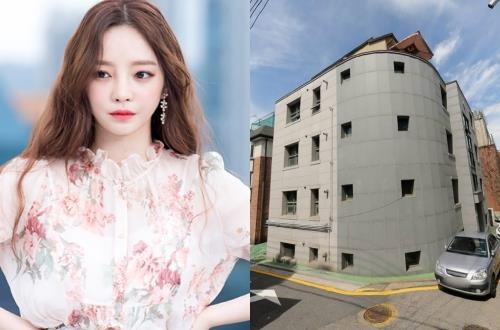 Goo Hara so huu tai san 10 trieu USD truoc khi qua doi hinh anh