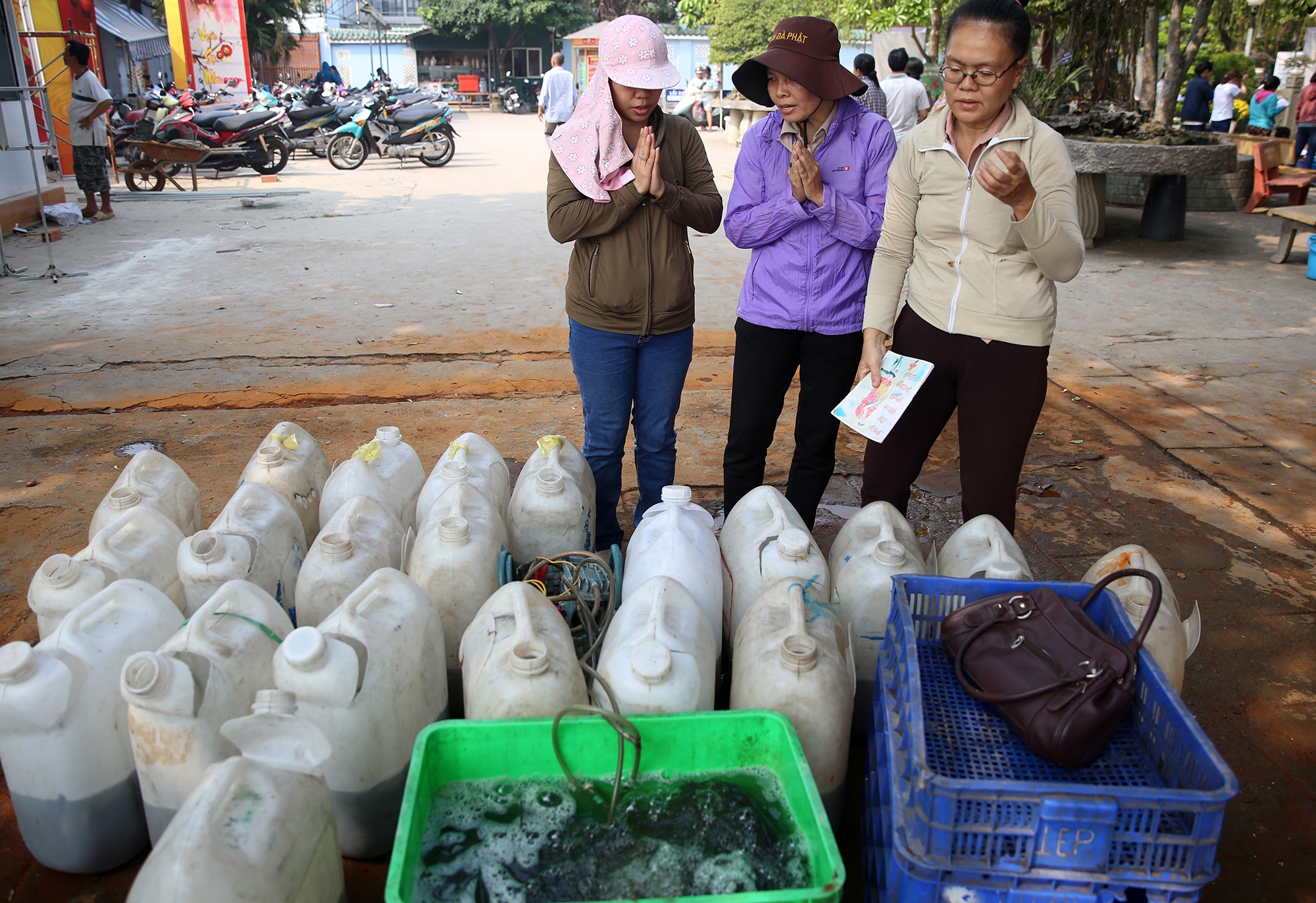 chich dien ca chep ngay ong Tao anh 2